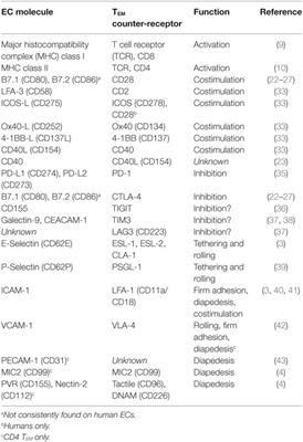 Antigen Presentation by Vascular Cells